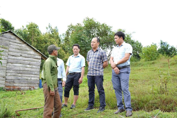 Lãnh đạo xã Quảng Trực kiểm tra thực tế, nắm bắt tình hình sử dụng đất của người dân tại khu vực có nguồn gốc nông, lâm trường