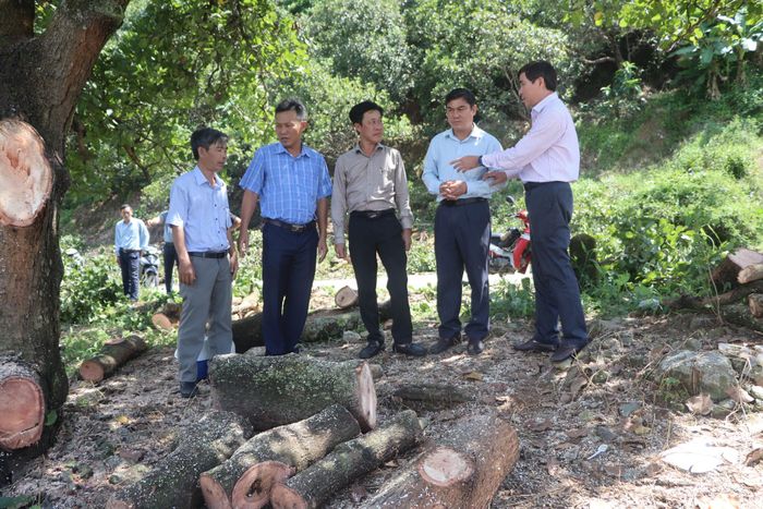 Ông Nguyễn Minh Nguyên, Phó Ban Quản lý dự án số 2 t(ngoài cùng bên phải) tại hiện trường bàn giao mặt bằng