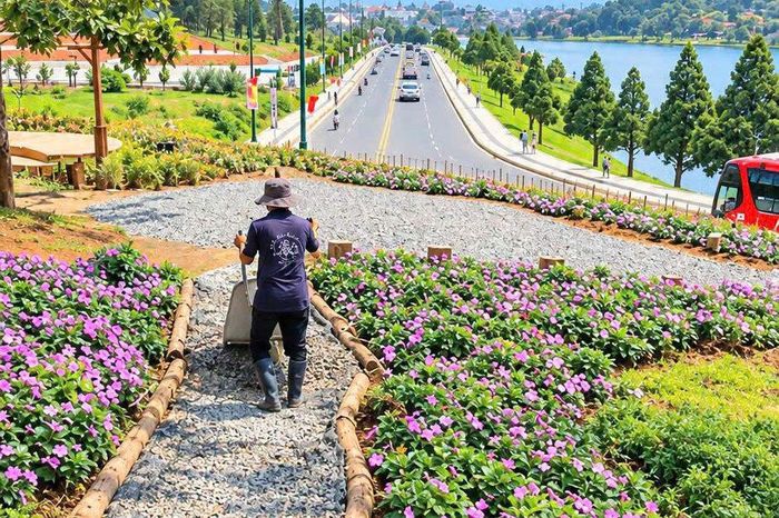 Công nhân thi công tiểu cảnh hoa dốc Sương Nguyệt Ánh, phường Xuân Hương - Đà Lạt