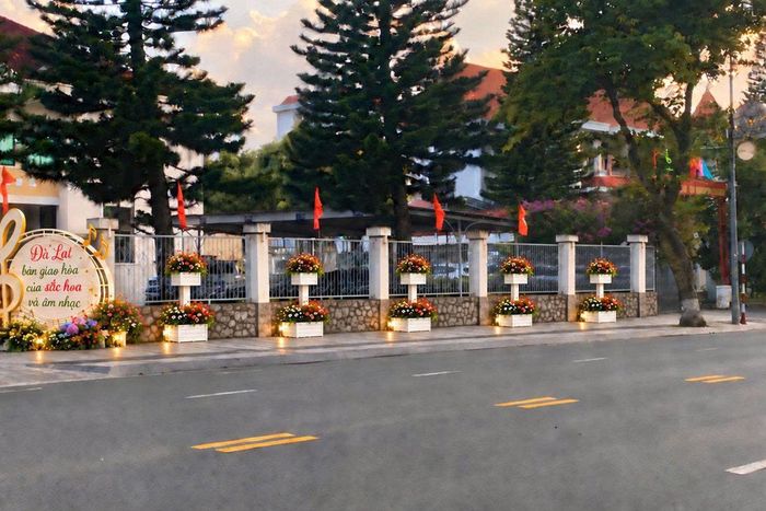 Phối cảnh hoa trên đường Trần Phú sau khi hoàn thành