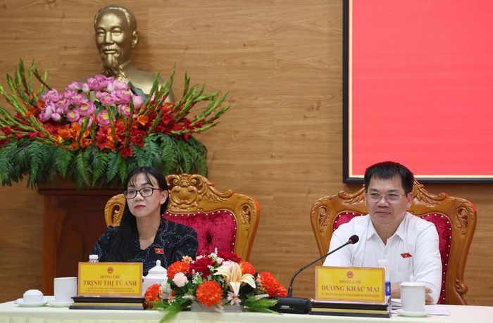 Đại biểu Quốc hội Dương Khắc Mai và Trịnh Thị Tú Anh tại hội nghị