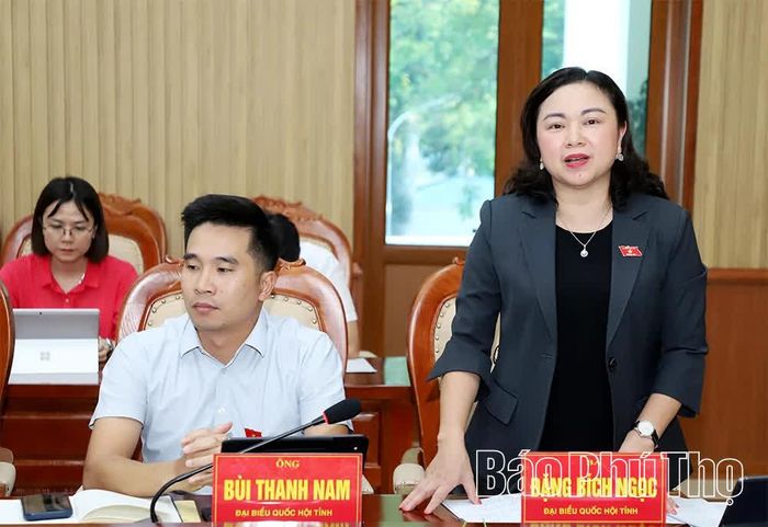 Đại biểu Quốc hội Đặng Bích Ngọc phát biểu tại buổi giám sát.