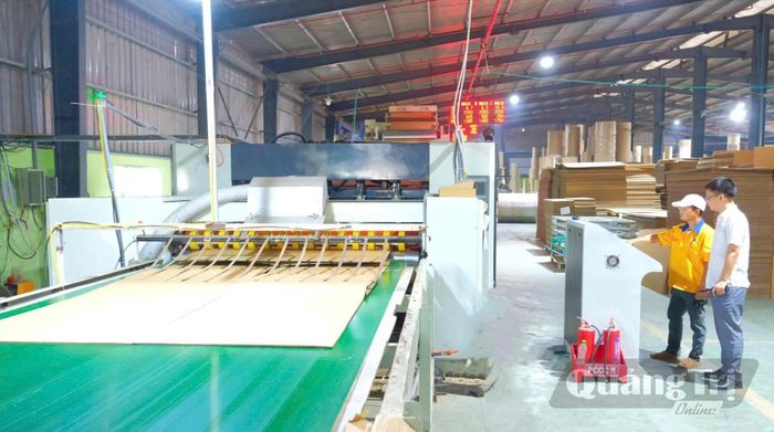 Dây chuyền sản xuất tại Công ty CP bao bì carton Quảng Trị, cụm công nghiệp Hải Lệ - Ảnh: T.T