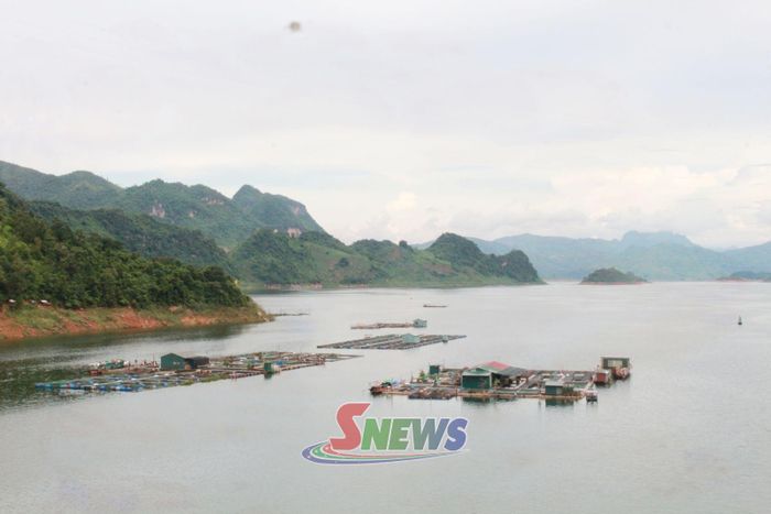 Nuôi cá lồng trên lòng hồ tại xã Quỳnh Nhai.
