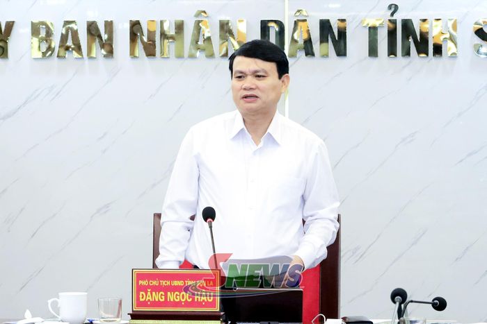 Đồng chí Phó Chủ tịch UBND tỉnh phát biểu tại cuộc làm việc.