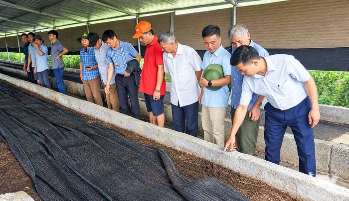 Chất thải trong chăn nuôi được dùng để nuôi trùn quế làm thức ăn cho gà, vừa mang lại hiệu quả kinh tế, vừa bảo vệ môi trường.