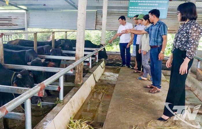 Các chính sách của tỉnh Thái Nguyên góp phần thúc đẩy mô hình chăn nuôi theo quy trình an toàn.
