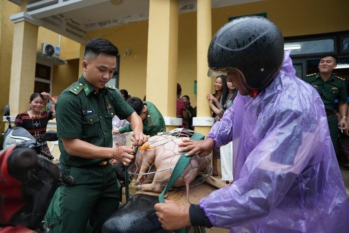 Trao heo giống hỗ trợ sinh kế cho phụ nữ có hoàn cảnh khó khăn tại xã A Lưới 5.