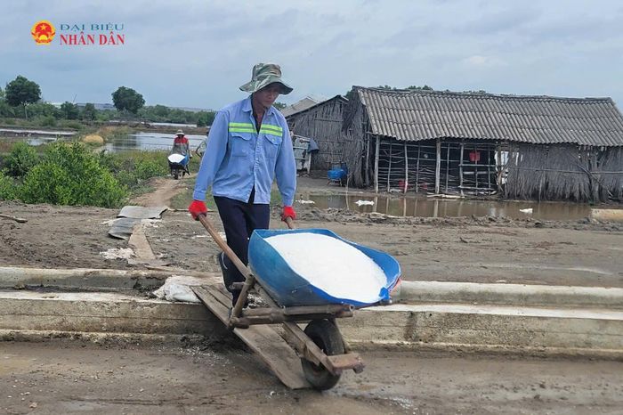 Người dân tham gia vận chuyển muối tại các ruộng muối trên địa bàn phường Tân Hải (khu vực tỉnh Bà Rịa - Vũng Tàu cũ). Ảnh: Quang Phương