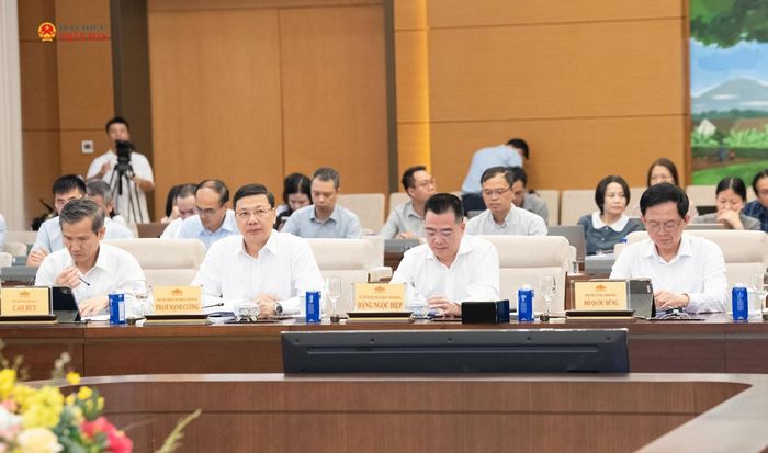 Các đại biểu tham dự phiên họp