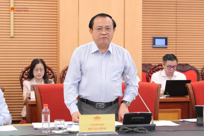 Thứ trưởng Bộ Tài chính Lê Tấn Cận phát biểu tại phiên họp. Ảnh: Hồ Long
