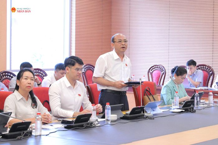 ĐBQH Vũ Tiến Dũng (Thanh Hóa) phát biểu. Ảnh: Hồ Long