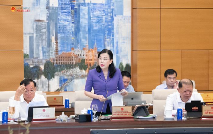 Chủ nhiệm Ủy ban Khoa học, Công nghệ và Môi trường Nguyễn Thanh Hải trình bày thẩm tra