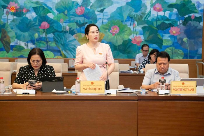Phó Chủ nhiệm Ủy ban Pháp luật và Tư pháp Nguyễn Thị Thủy phát biểu