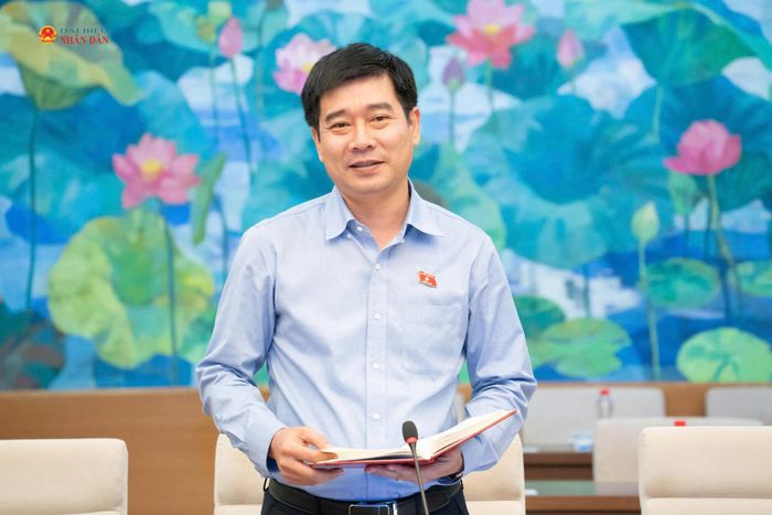 ĐBQH hoạt động chuyên trách tại Ủy ban Pháp luật và Tư pháp Lê Thanh Hoàn phát biểu