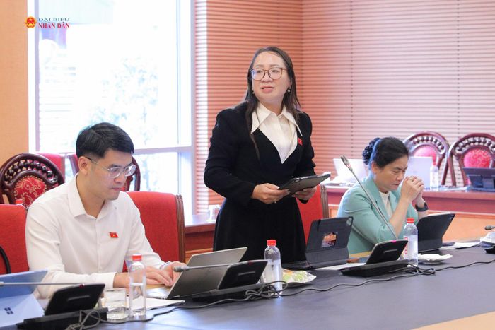 Phó trưởng đoàn chuyên trách Đoàn ĐBQH tỉnh Quảng Ngãi Hà Thị Anh Thư phát biểu