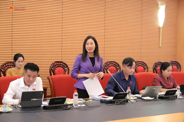 Phó trưởng đoàn chuyên trách Đoàn ĐBQH tỉnh Tây Ninh Hoàng Thị Thanh Thúy phát biểu