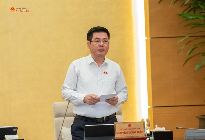 Phó Chủ tịch Quốc hội Nguyễn Hồng Diên phát biểu tại phiên họp