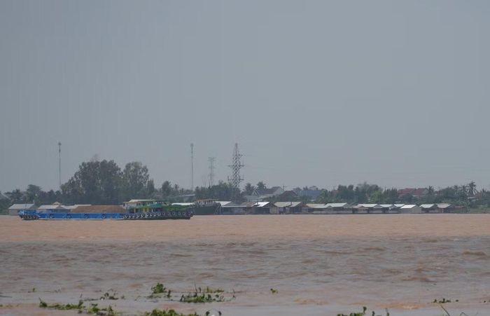 Dãy bè nuôi cá trên sông Tiền của người dân vào mùa nước lũ.