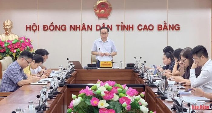 Trưởng Ban Kinh tế - Ngân sách, HĐND tỉnh Dương Hùng Dũng phát biểu kết luận buổi làm việc.