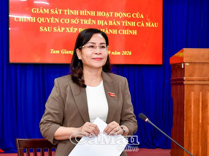 Đồng chí Lê Thị Nhung, Uỷ viên Ban Thường vụ Tỉnh uỷ, Phó Chủ tịch Thường trực HĐND tỉnh, phát biểu kết luận buổi làm việc.