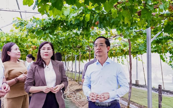 Phó Bí thư Tỉnh uỷ, Chủ tịch Uỷ ban MTTQ Việt Nam tỉnh Cà Mau Hồ Thanh Thuỷ và Phó Chủ tịch Thường trực HĐND tỉnh Lê Thị Nhung khảo sát mô hình kết hợp sản xuất nông nghiệp với phát triển du lịch trải nghiệm của hộ ông Thái Tiết Hí (khóm Kinh Tế).