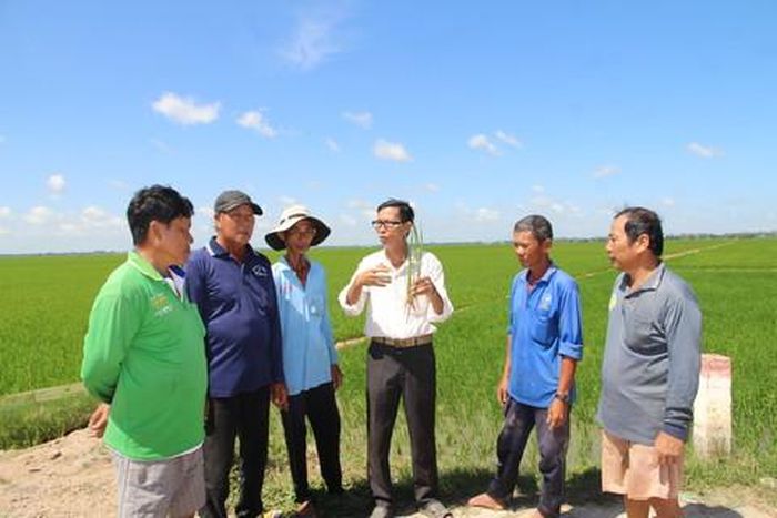 Nông dân An Giang trao đổi kinh nghiệm nhằm giảm chi phí trong sản xuất
