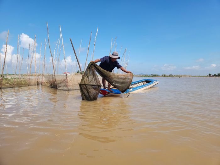 Người dân đổ dớn cá linh.