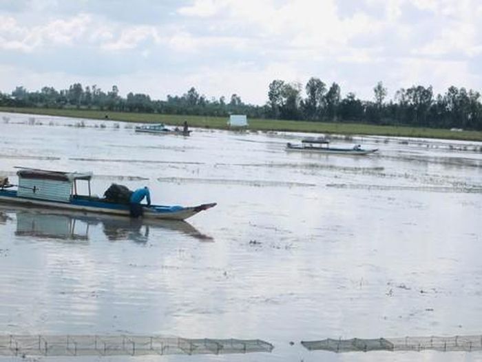 Nhịp sống mùa nước nổi ở miền Tây
