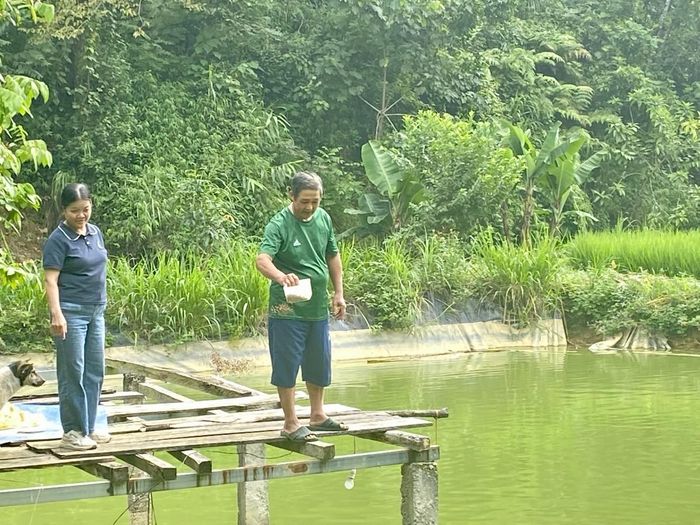 Mô hình kinh tế tổng hợp của gia đình ông Hoàng Văn Bàu, xóm Đại Tiến 1, xã Hoà An cho tổng thu nhập gần 420 triệu đồng/năm. Ảnh Quốc Sơn.