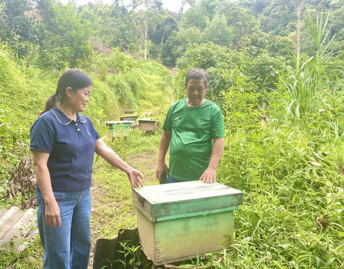 Phát triển nghề nuôi ong lấy mật, giúp gia đình ông Hoàng Văn Bàu, xóm Đại Tiến 1, xã Hoà An mỗi năm nguồn thu tăng thêm đáng kể. Ảnh Quốc Sơn.