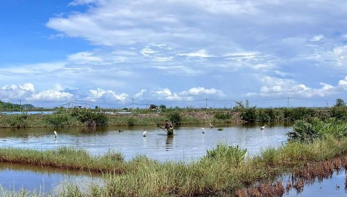 Lực lượng kiểm lâm Tp. Huế quyết tâm bảo vệ môi trường, sinh thái...