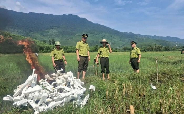 Lực lượng Kiểm lâm Tp. Huế thiết thực góp phần duy trì cân bằng sinh thái và tạo nên giá trị cảnh quan...