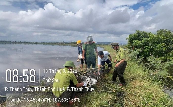 Lực lượng Kiểm lâm Tp. Huế thiết thực góp phần duy trì cân bằng sinh thái và tạo nên giá trị cảnh quan...