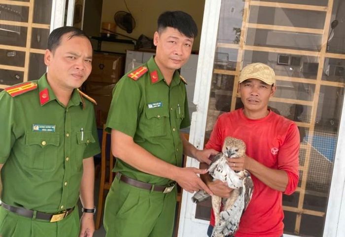 Anh Nguyễn Hữu Khánh (bìa phải) tự nguyện giao nộp cá thể chim diều hoa Miến Điện cho Công an xã Khánh Bình. Ảnh: Công an tỉnh An Giang