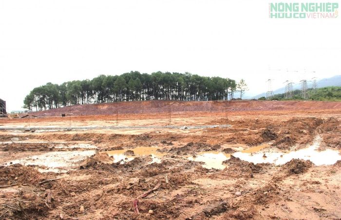 Dự án được triển khai tại thôn Thiện Nộ, xã Cẩm Xuyên, Hà Tĩnh với diện tích gần 47 ha; tổng vốn đầu tư gần 1.300 tỷ đồng.