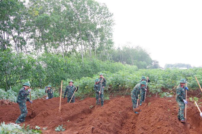 Đội Tìm kiếm, quy tập hài cốt liệt sĩ số 2 (Phòng Chính trị, Bộ Chỉ huy Quân sự tỉnh Quảng Trị) đang thực hiện tìm kiếm hài cốt 11 liệt sỹ đặc công hy sinh trong trận đánh ngày 29/4/1965 ở khu vực Dốc Miếu (xã Gio Linh). (Ảnh: Xuân Diện)