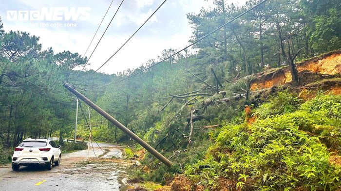 Trong khi đó, trưa 21/9, trên tỉnh lộ 722 từ Đà Lạt đi Đắk Lắk, đoạn qua phường LangBiang - Đà Lạt xảy ra hai điểm sạt lở đất, kéo theo gần chục cây thông bật gốc, ngã chắn ngang mặt đường, gây cản trở giao thông.