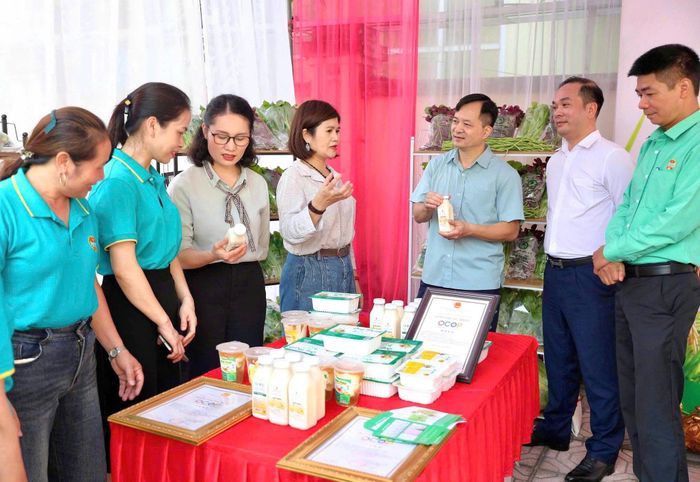 Hội nông dân xã Sơn Đồng giúp các hội viên, hợp tác xã quảng bá sản phẩm OCOP. Ảnh: Duyên Lê