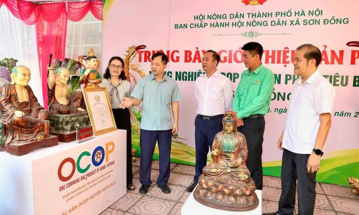 Hội nông dân xã Sơn Đồng giúp các hội viên, hợp tác xã quảng bá sản phẩm OCOP. Ảnh: Duyên Lê