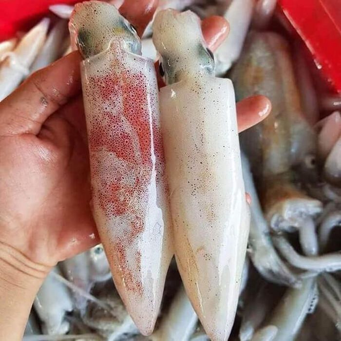 Món mực tươi rim gừng tỏi nước tương làm xong thấy tay nghề nội trợ vụng về như được nâng mấy bậc... Ảnh internet