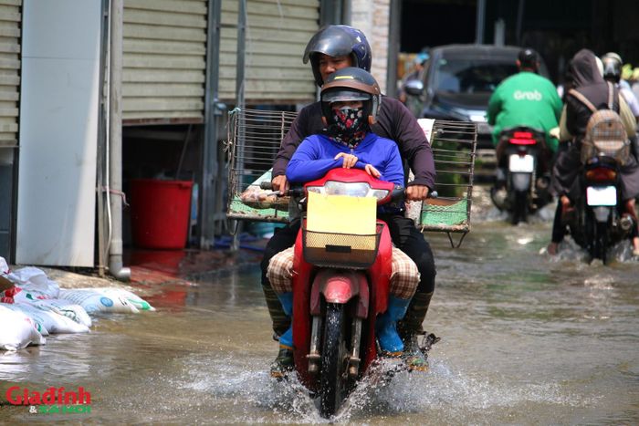 Người dân dùng các bao tải đất cát và các khối gạch lớn để gia cố các vị trí nước tràn trên địa bàn xã Quảng Bị.