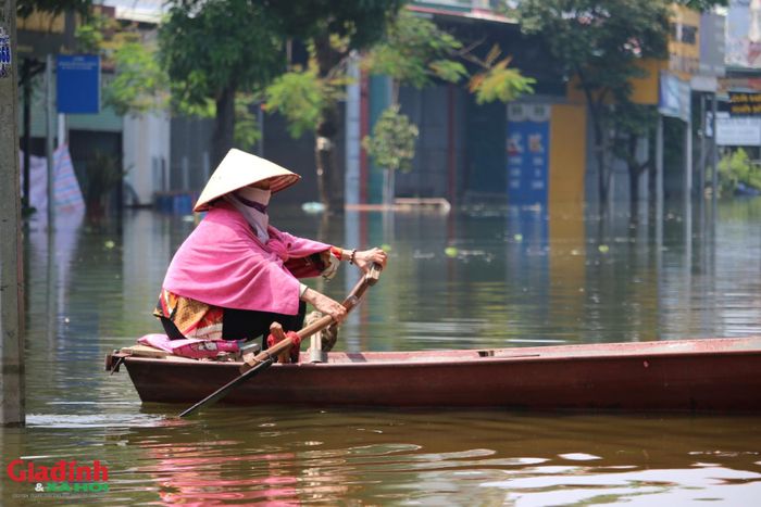 Phương tiện duy nhất di chuyển được tại đây là các loại thuyền, bè tự chế của người dân hoặc dùng xe kéo.