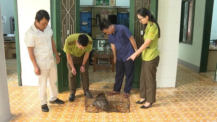 Lực lượng chức năng tiếp nhận cá thể khỉ người dân bàn giao. Ảnh: Nguyễn Minh.