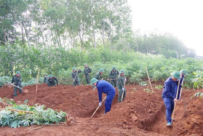 Các lực lượng tổ chức tìm kiếm tại khu vực nghi có chôn 11 liệt sĩ đặc công. Ảnh: Xuân Diện.