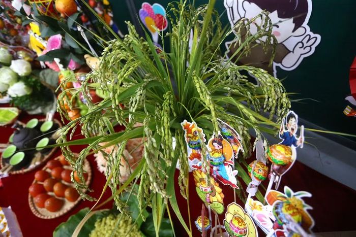 Việc đưa bông lúa nếp làm cốm vào trang trí mâm cỗ giúp các em học sinh hiểu thêm về nét đẹp lao động và nguồn cội của nét văn hóa ẩm thực Hà Thành