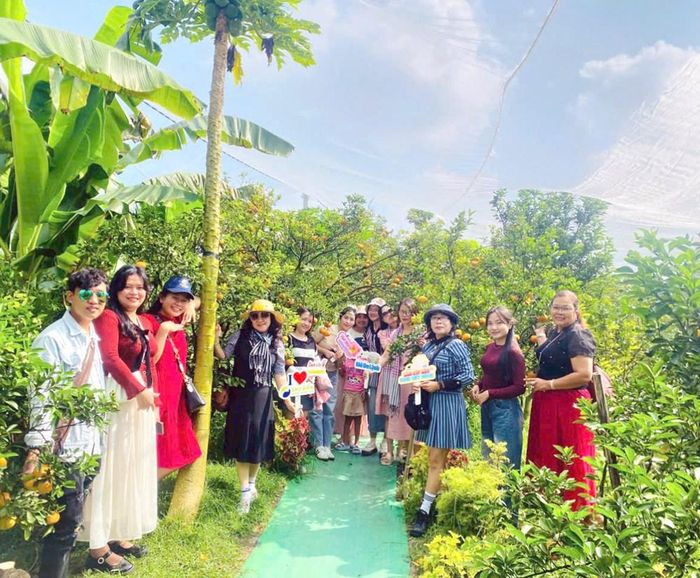 Đồng Tháp chú trọng gắn hoạt động du lịch với các mô hình phát triển nông nghiệp sinh thái. Ảnh: Du khách tham quan vườn quýt ở Đồng Tháp