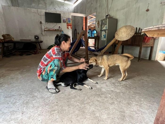 Toàn tỉnh Vĩnh Long có khoảng 333.000 con chó, mèo, chủ yếu được nuôi nhỏ lẻ