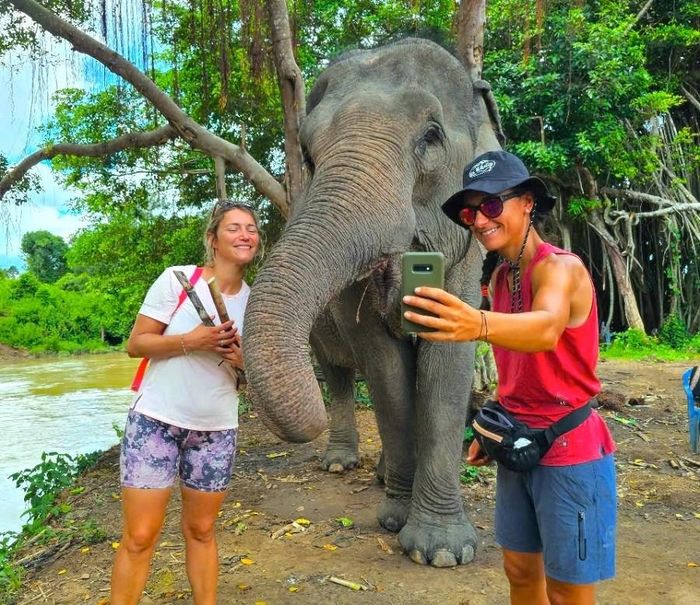 Mô hình du lịch thân thiện cùng voi triển khai tại Buôn Đôn bước đầu mang lại những hiệu ứng tích cực