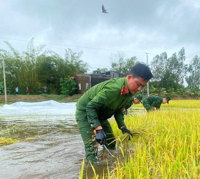 Nước dâng nhanh khiến nhiều diện tích lúa tại ấp T4 bị ngập sâu